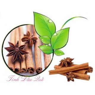 Tinh dầu Quế cao cấp lọ 10ml