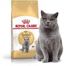 thức ăn hạt cho mèo royal canin 400g