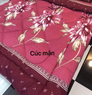 [GIÁ HỦY DIỆT] Bộ Chăn Phao 5 Món Ga Gối [Loại Bông Dày]