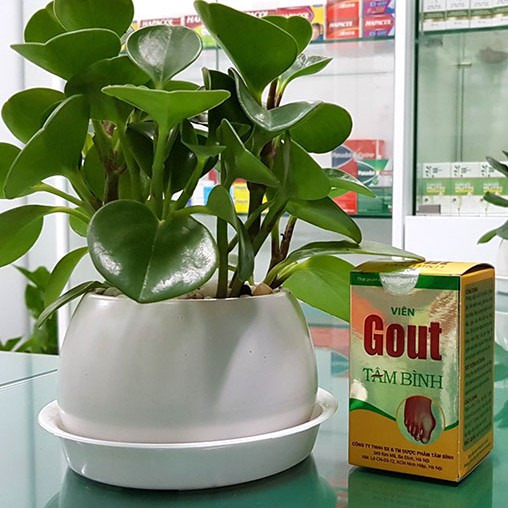 Viên Gout Tâm Bình - Hỗ trợ giảm axit uric, giảm đau do chứng bệnh gout, đau xương khớp (60 viên)