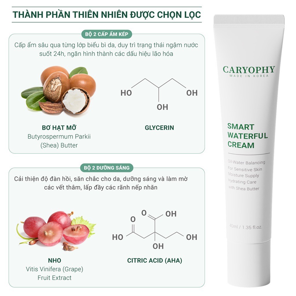 Kem dưỡng Caryophy cấp nước và phục hồi da mịn - Caryophy Smart Waterful Cream 40ml