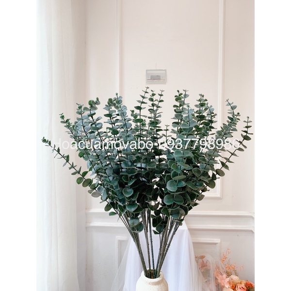 Cành Lá Táo Khuynh Diệp Giả Merber Loại 3/5 Nhánh - Cành Lá Khô Decor Trang Trí Nhà, Phòng Khách, Đồ Decor Chụp Ảnh