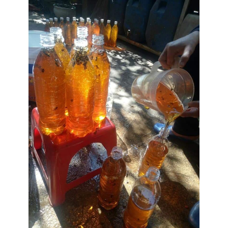 Mật ong cỏ kim chai 500ml (mật ong hoa xuyến chi)