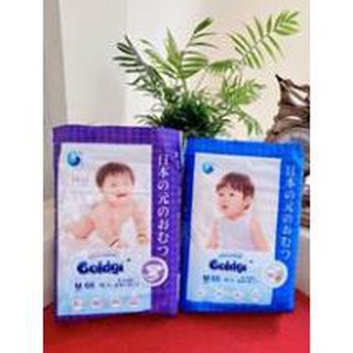 (Mẫu mới 2020 - Tặng quà 2021)Bỉm dán/quần Goldgi+ Nhật size Nb92/S84/M66/M60/L56/L48/XL46/XL44/XXL34