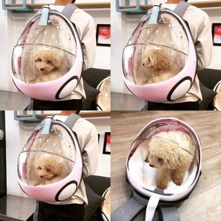 Balo bọ dừa trong suốt cho chó mèo hàng cao cấp ( Kèm Thảm Lót)