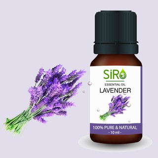 Tinh dầu oải hương lavender