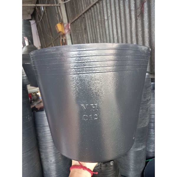 Combo 10 chậu nhựa đen c12 trồng cây