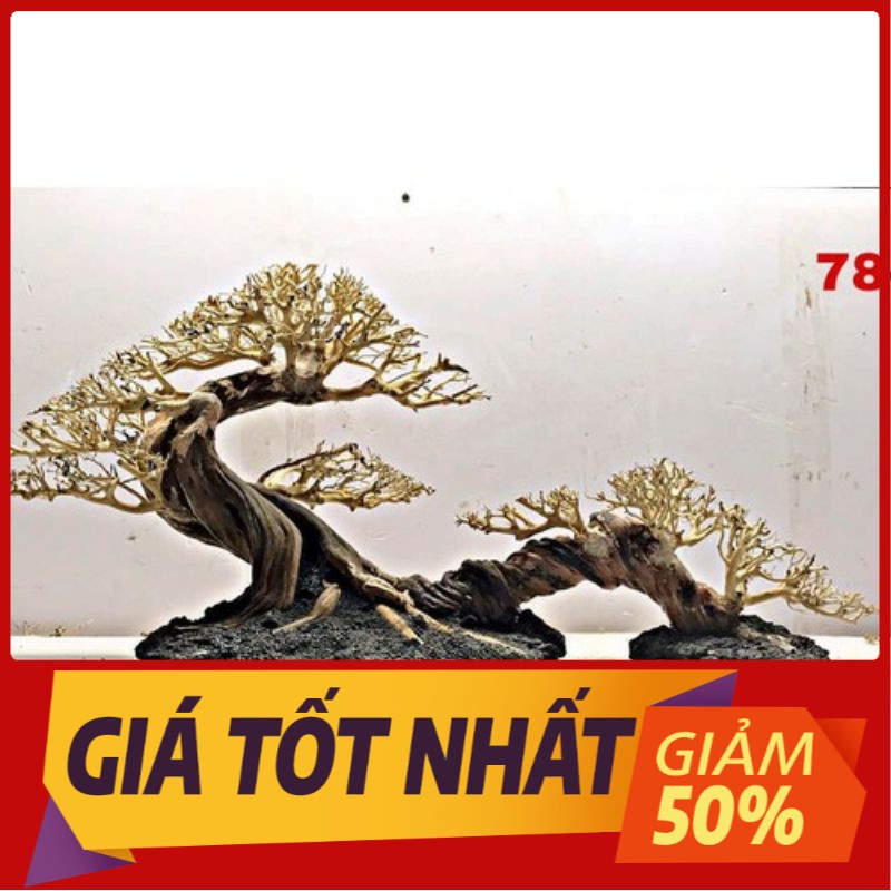 Lũa xương chùm tạo cây bonsai - lũa thủy sinh, bán cạn.