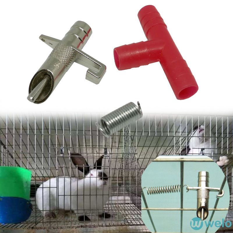 Bộ dụng cụ uống nước tự động cho thỏ chất lượng cao