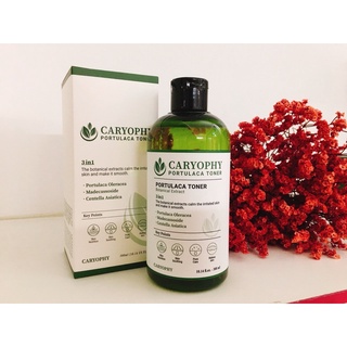 [Chiết-Gốc] Toner Caryophy Portulaca không cồn dịu nhẹ cho da dầu mụn