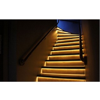 Đèn LED dây 5050 10m