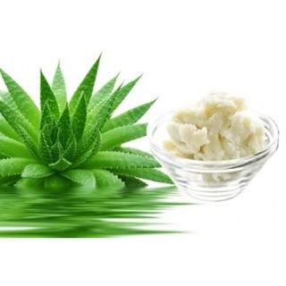 BƠ NHA ĐAM (ALOE BUTTER)
