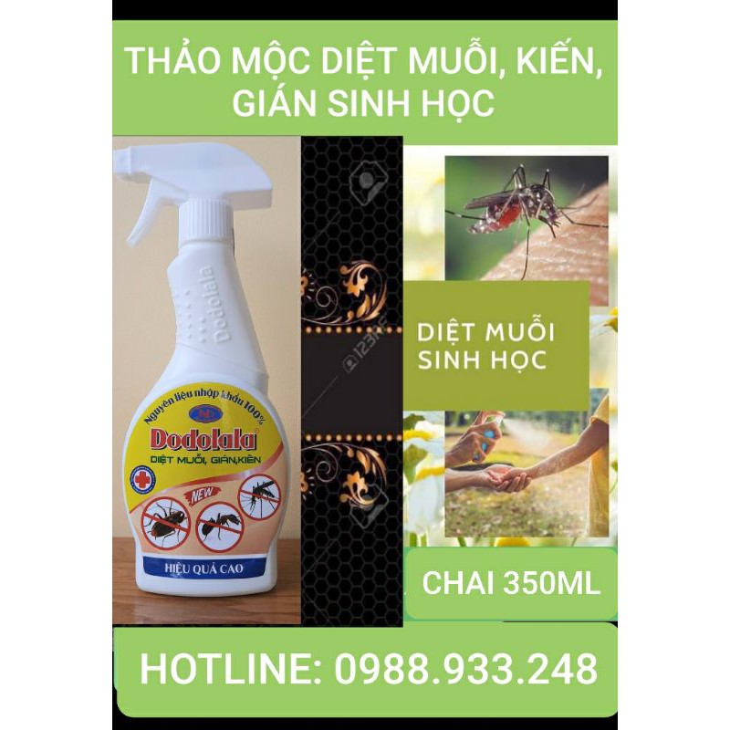[Sỉ] 5 chai Thuốc xịt tiêu diệt Muỗi, kiến gián Dodolala 350ml (Chính hãng)