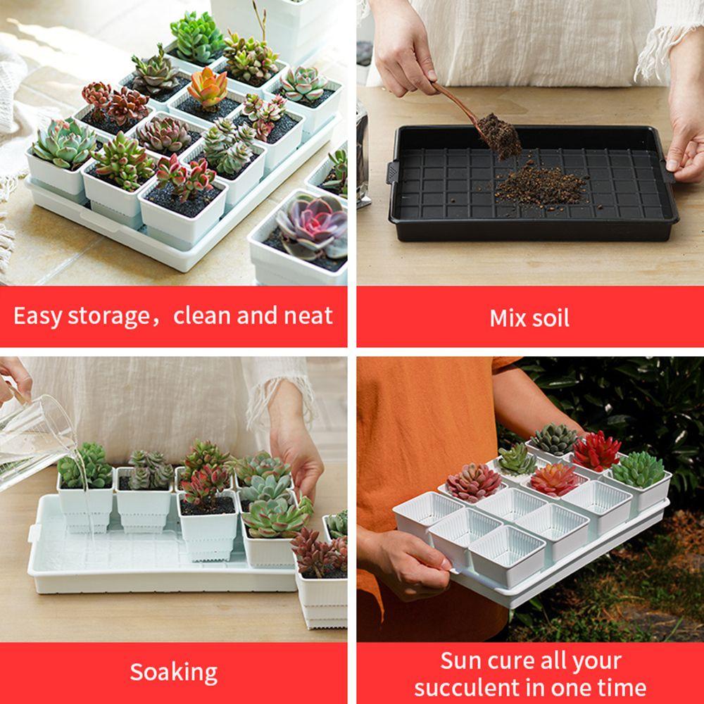Giá Đỡ Chậu Cây Bonsai Hình Chữ Nhật Bằng Nhựa