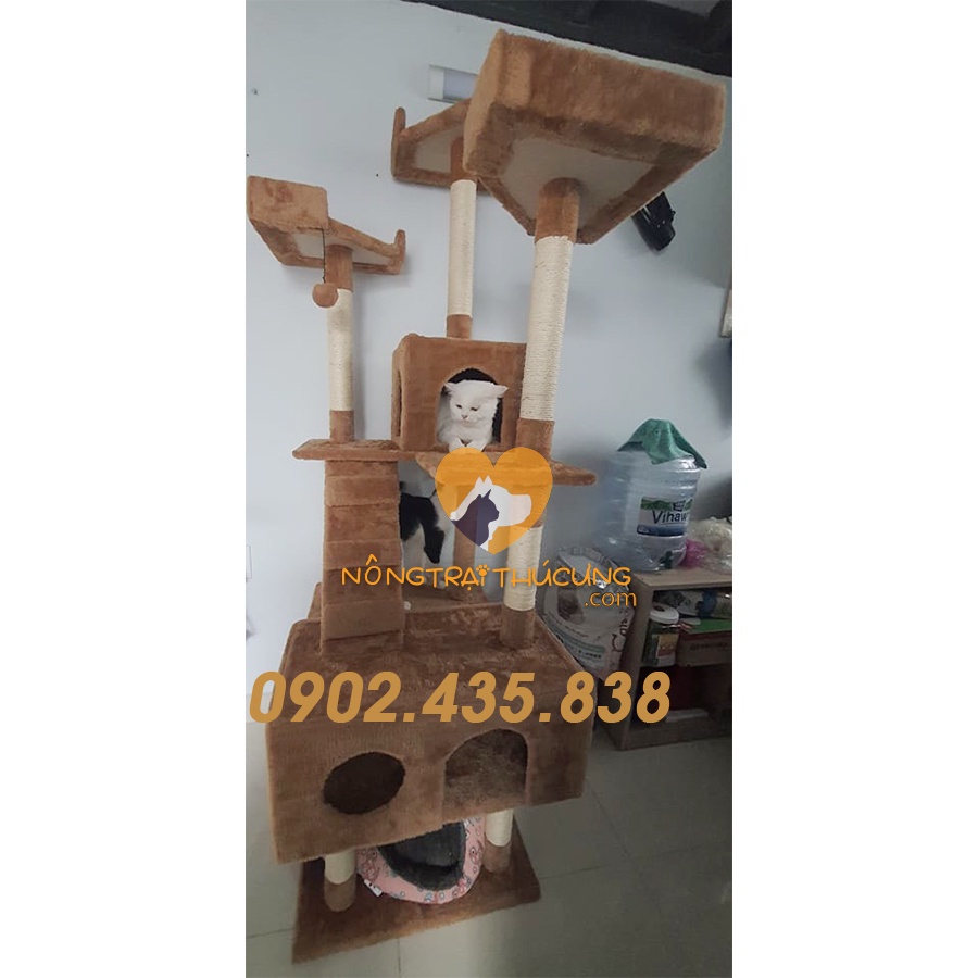 Mã LZ0143  - Cat Tree - Nhà Cây Cho Mèo Kèm Trụ Cào Móng