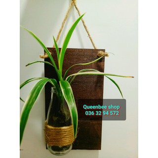Gỗ trang trí treo tường kèm lọ thủy tinh I Decor quán cafe, nhà cửa