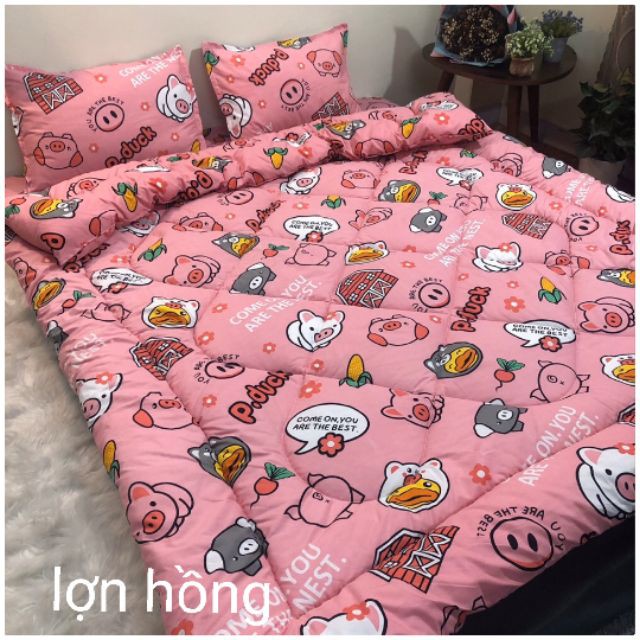 Bộ 5 Ga Gối Chăn Phao Trần Bông Dày Poly Cotton loại 1 Chăn Bông Như Hình Nhiều Mẫu Mới ( Nhắn Chọn Mẫu)