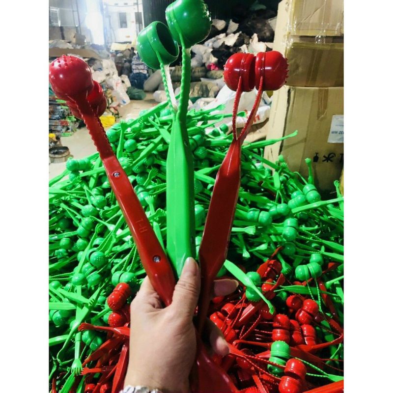 CÂY ĐẤM LƯNG CÓ ĐẦU GÃI NGỨA