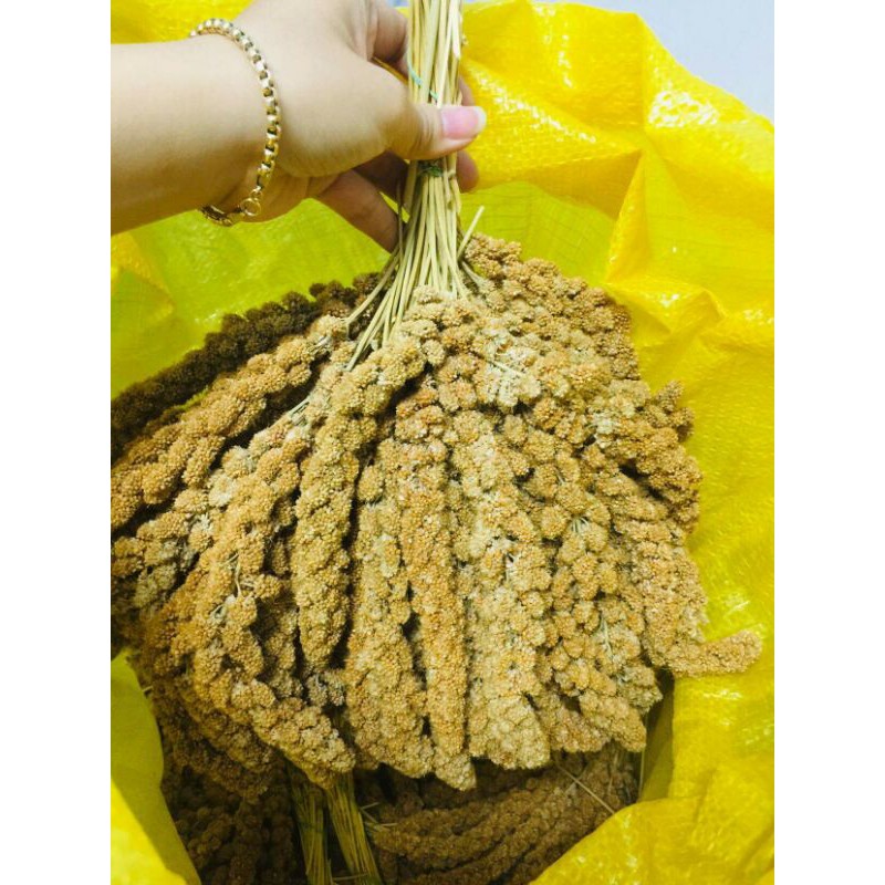 Kê chùm cho chim cảnh, hamster,... 1kg