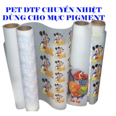 PET FILM CHUYỂN NHIỆT DTF DÙNG CHO MÁY IN PHUN MỰC PIGMENT DTF CUỘN 100M