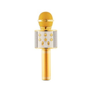 MIC HÁT KARAOKE W858