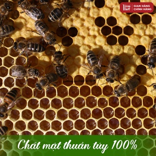 Mật ong hoa cà phê Tiệm Huế