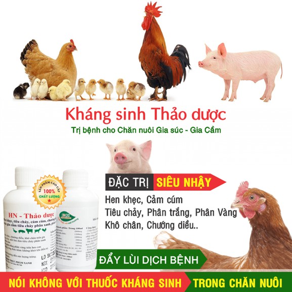 HN - Kháng sinh thảo dược - Trị bệnh hen khẹc, tiêu chảy cho Gia súc, Gia cầm