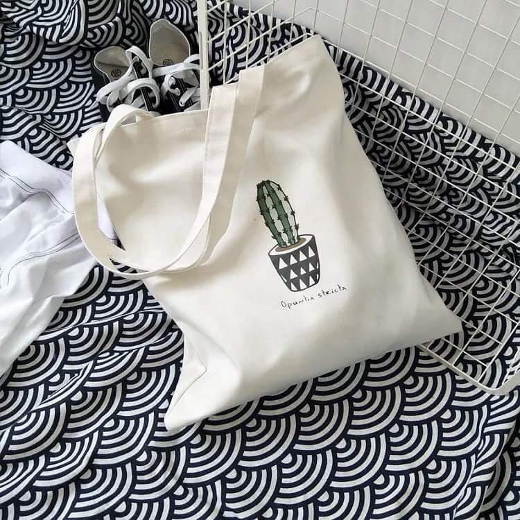 Túi vải xương rồng chậu tam giác HARI