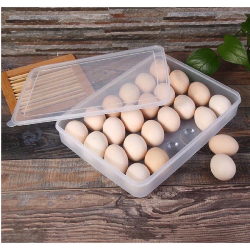 Hộp đựng trứng, khay đựng trứng 24 ô cao cấp Việt Nhật - BANGGE