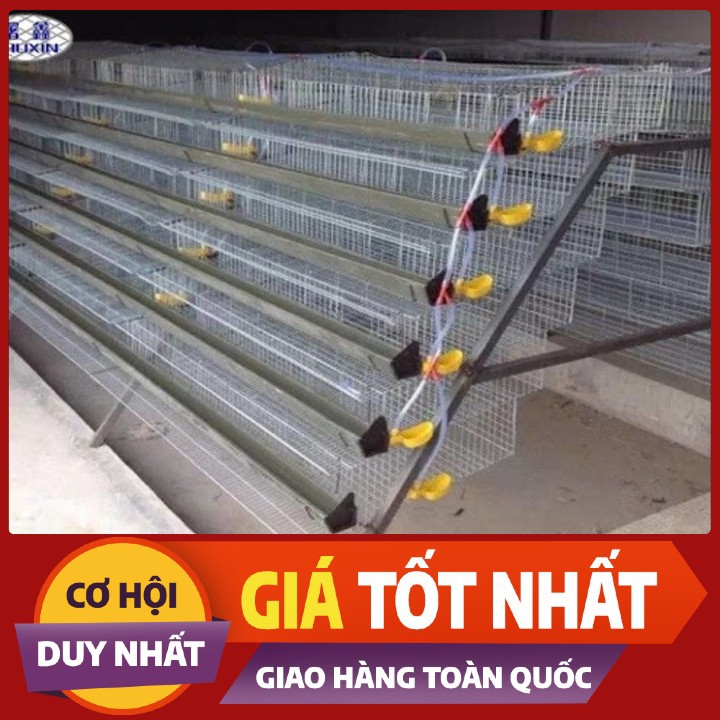 LỒNG NUÔI CHIM CÚT-CHUỒNG NUÔI CHIM CÚT CÔNG NGHIỆP-LỒNG NUÔI CÚT ĐẺ CÔNG NGHIỆP