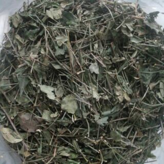 Chè vằng sẻ giảm cân - lợi sữa