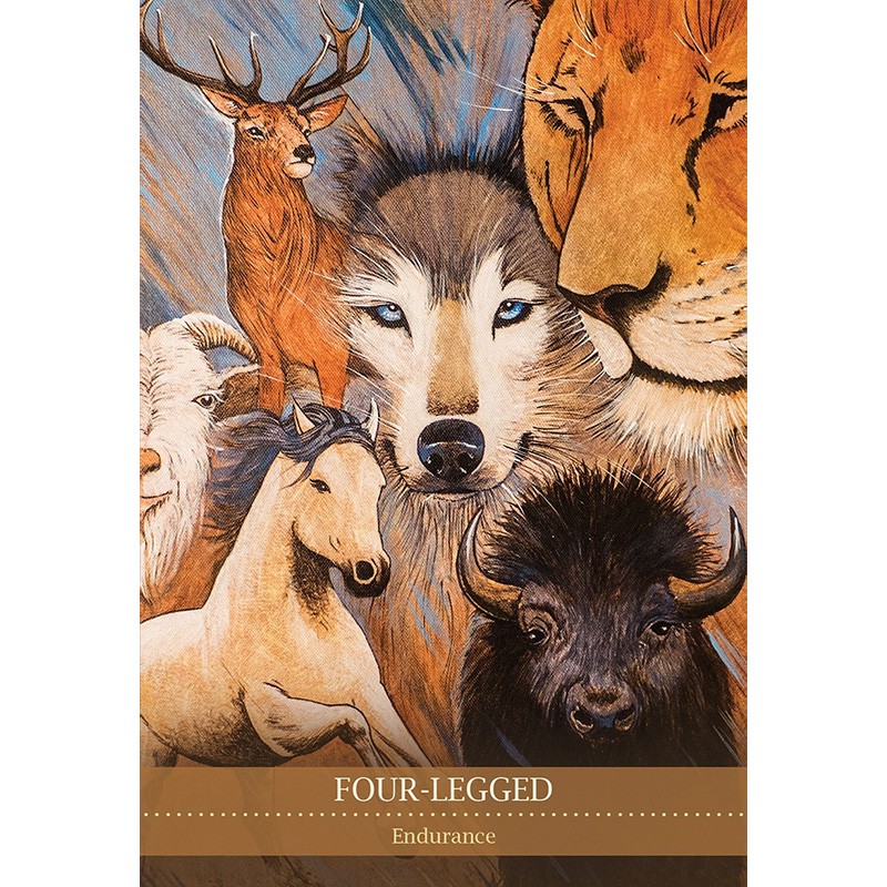 Bộ Bài Shamanic Medicine Oracle Cards (Mystic House Tarot Shop) - Bài Gốc Authentic Chính Hãng 100%