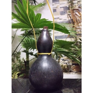 Bầu hồ lô khô ( bầu khô)
