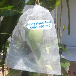 (20 cái) Túi Bao Xoài, Bơ, Na, Khổ Qua, Mãng Cầu (18 x 27cm), Túi lưới bao trái cây