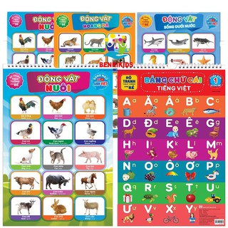 Tranh Treo Tường Tổng Hợp 15 Chủ Đề Cho Bé Từ 1-4 Tuổi, Loại Đẹp