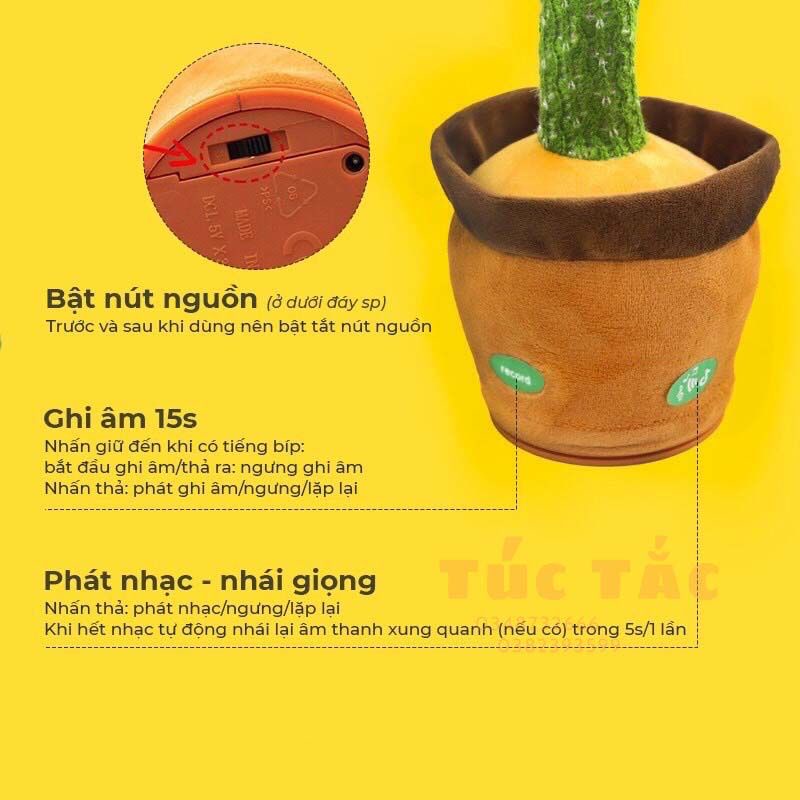 Cây xương rồng nhảy múa vui nhộn, xương rồng nhảy múa biết hát 120 bài nhạc việt, biết nói, nhại tiếng dùng pin sạc