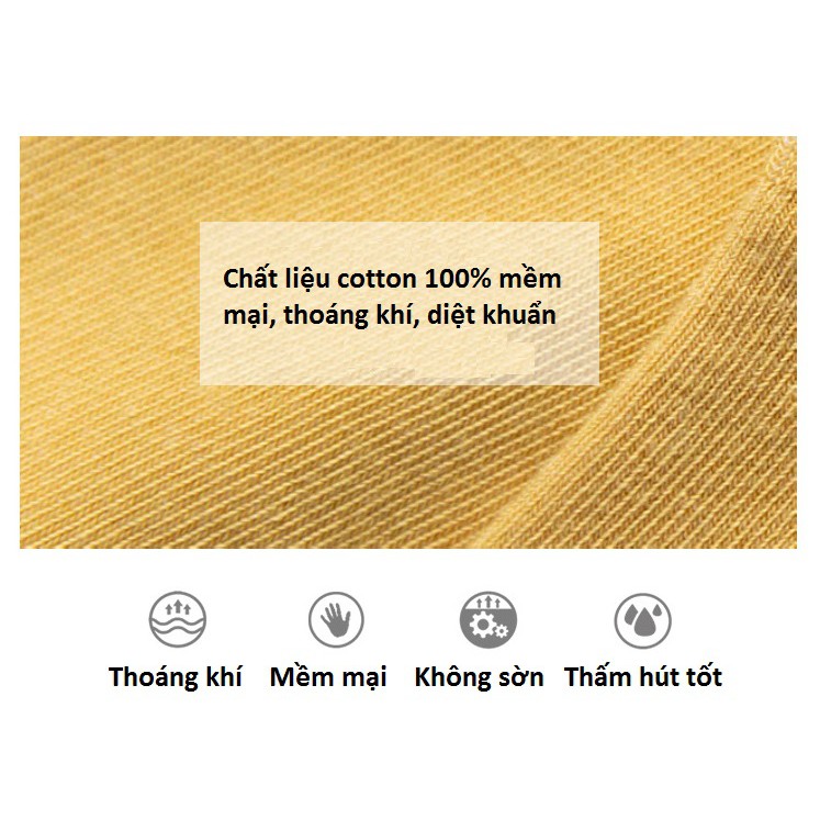 Sét 10 Đôi Tất Bông Cúc Họa Mi Mềm Nhẹ Thoáng Mát Đôi Chân, Khử Mùi, Chống Hôi Chân