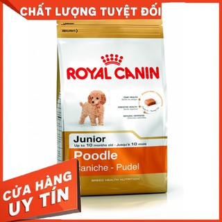 Junio poodle 1,5kg