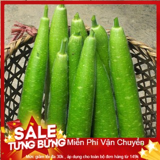 Hạt Giống Bầu Sao Dài F1 -10 Hạt