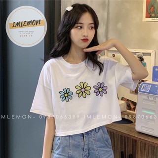 Áo thun croptop hình cá sấu siêu kute