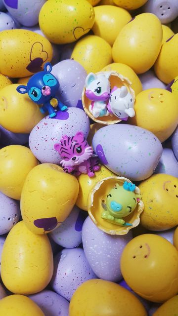 TRỨNG HATCHIMALS 🥚🥚🥚CÁC MÙA