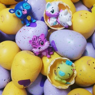 TRỨNG HATCHIMALS 🥚🥚🥚CÁC MÙA