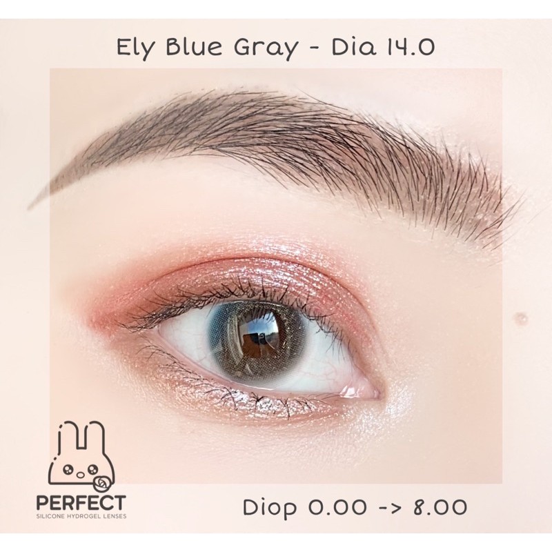 LINK 2 (GIÁ 1 CHIẾC) 14.0 (0.00->8.00) Lens Ely Blue Gray - Kính Áp Tròng