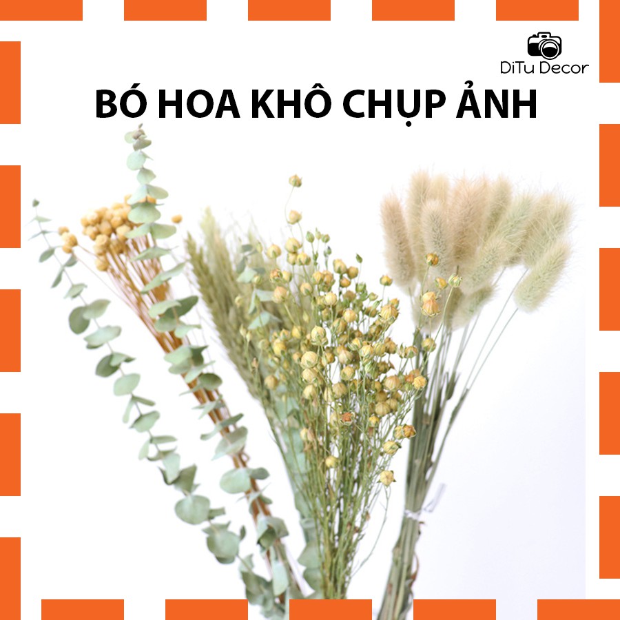 Bó hoa cỏ khô chụp ảnh, cỏ đuôi thỏ, hoa lúa mạch.. các loại hoa khô theo bó để decor chụp hình, trang trí - Ditu Decor