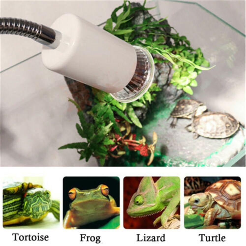 Giá Đỡ Bóng Đèn Sưởi Ấm Thằn Lằn / Rùa Tiện Dụng