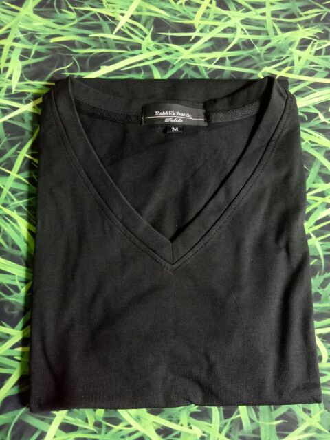 Áo thun nam cổ tim vải đẹp mịn body tigershop Tgs001 | BigBuy360 - bigbuy360.vn