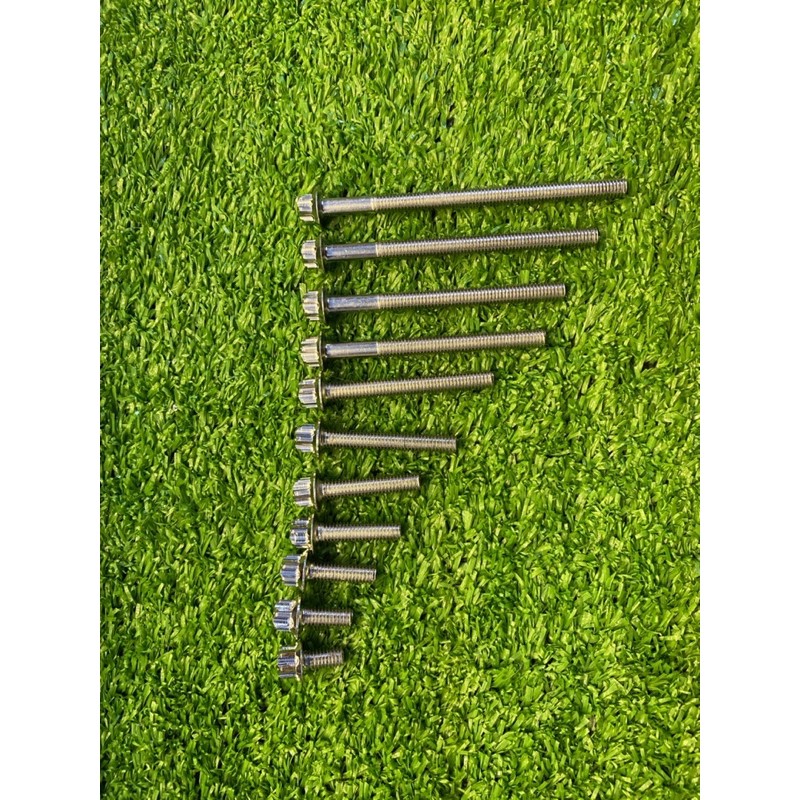 Ốc salaya các size thông dụng