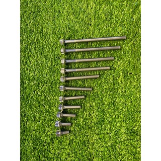 Ốc salaya các size thông dụng