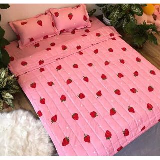 Combo 2 set ga chun + vỏ gối m6 + gối đôi