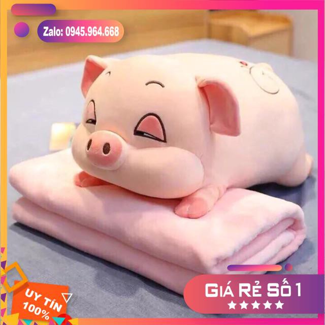 Gấu Bông Heo Mắt Híp, Lợn Phê Cần Ngủ Đờ Đẫn,Gối Ôm Heo Ngủ Không Chăn Đáng Yêu Kích Thước 35-70cm